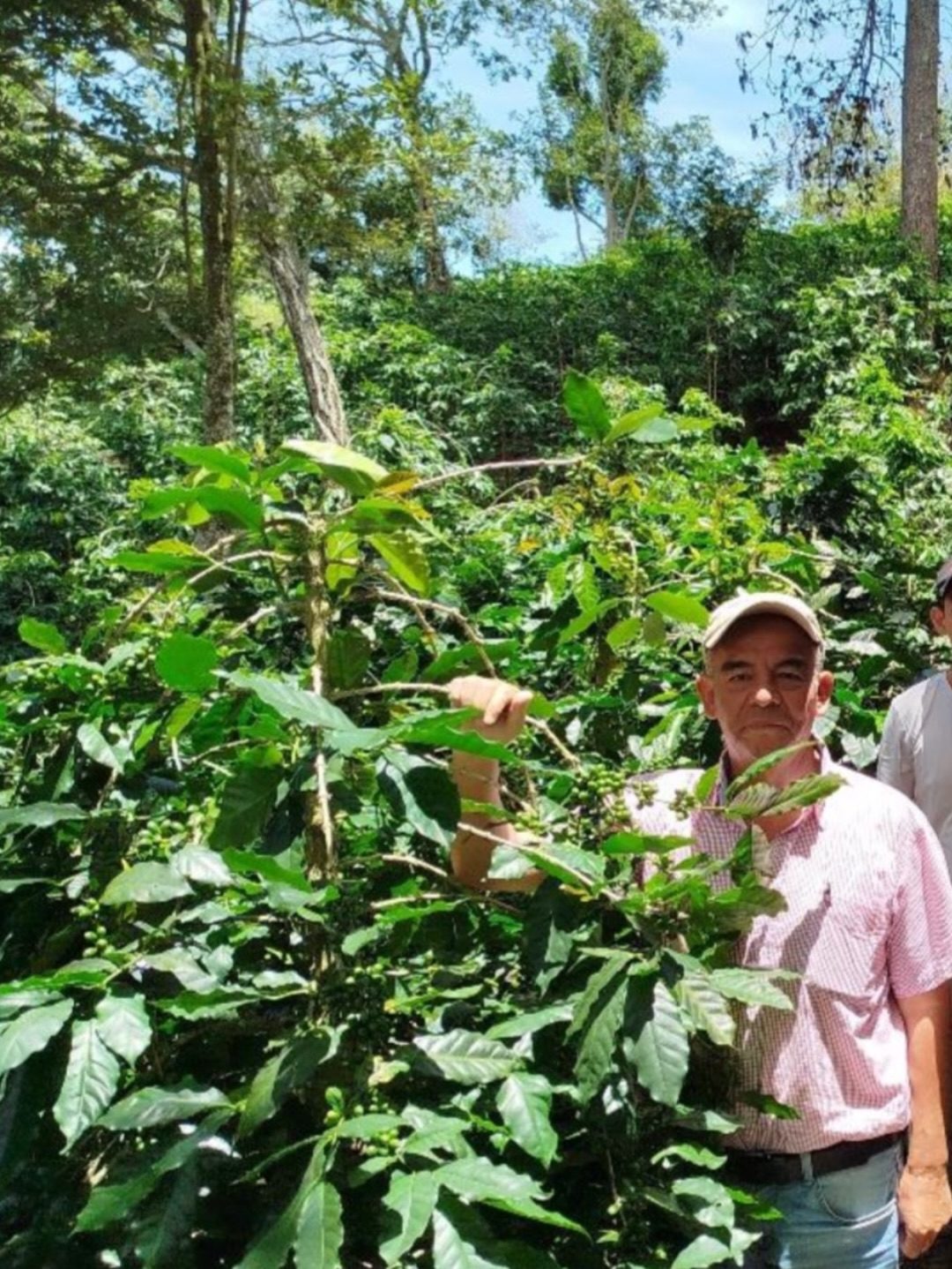 Honduras