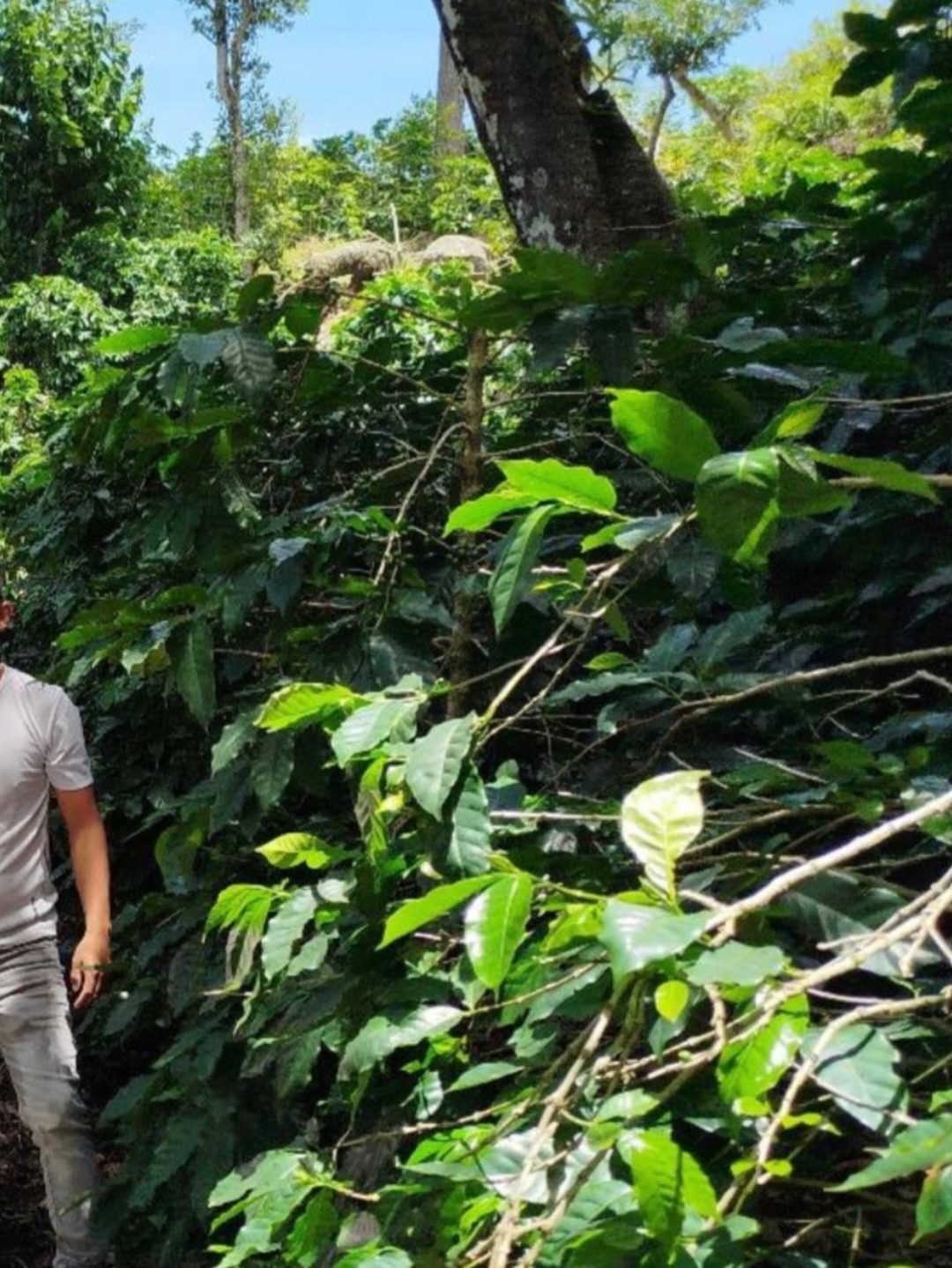 Honduras 2