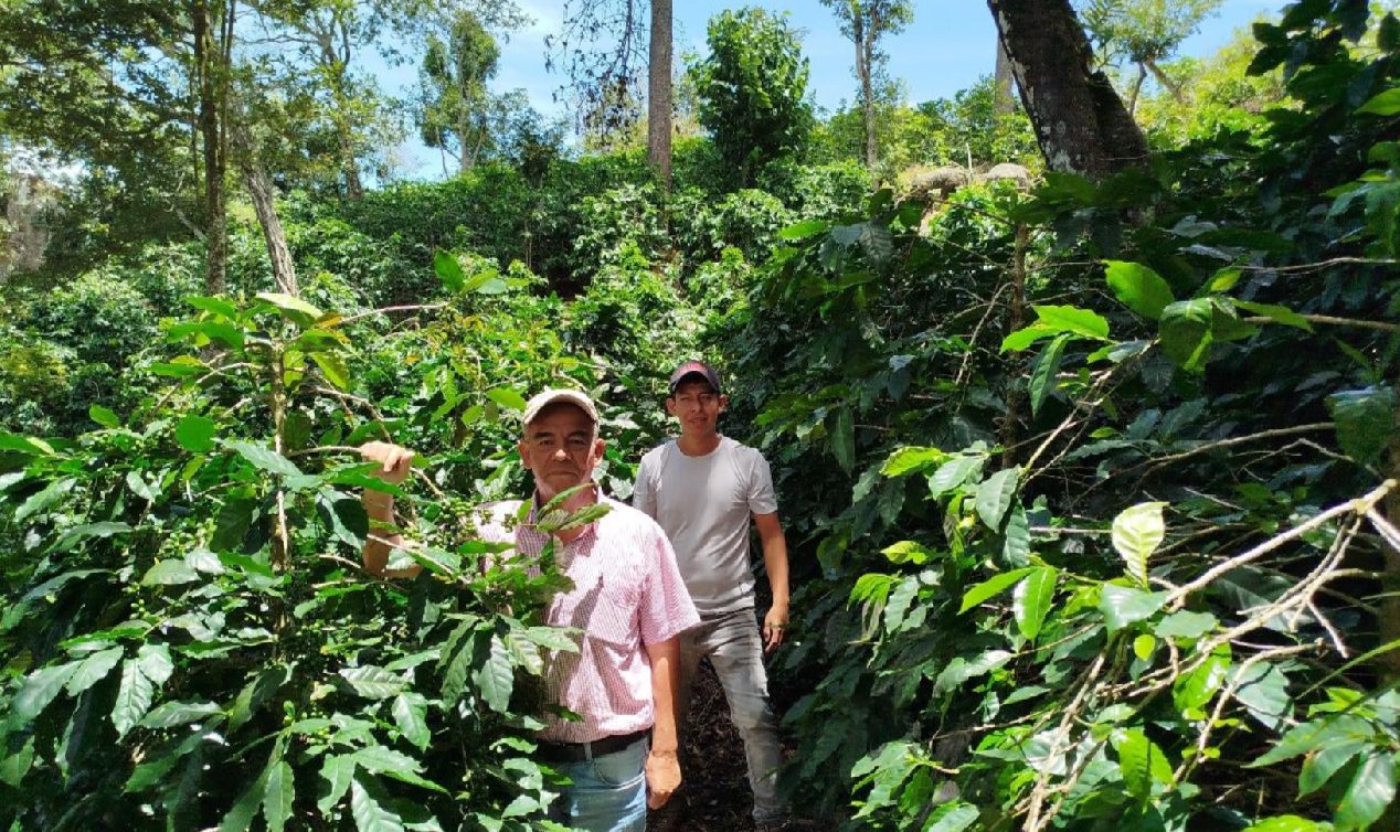 Honduras 3