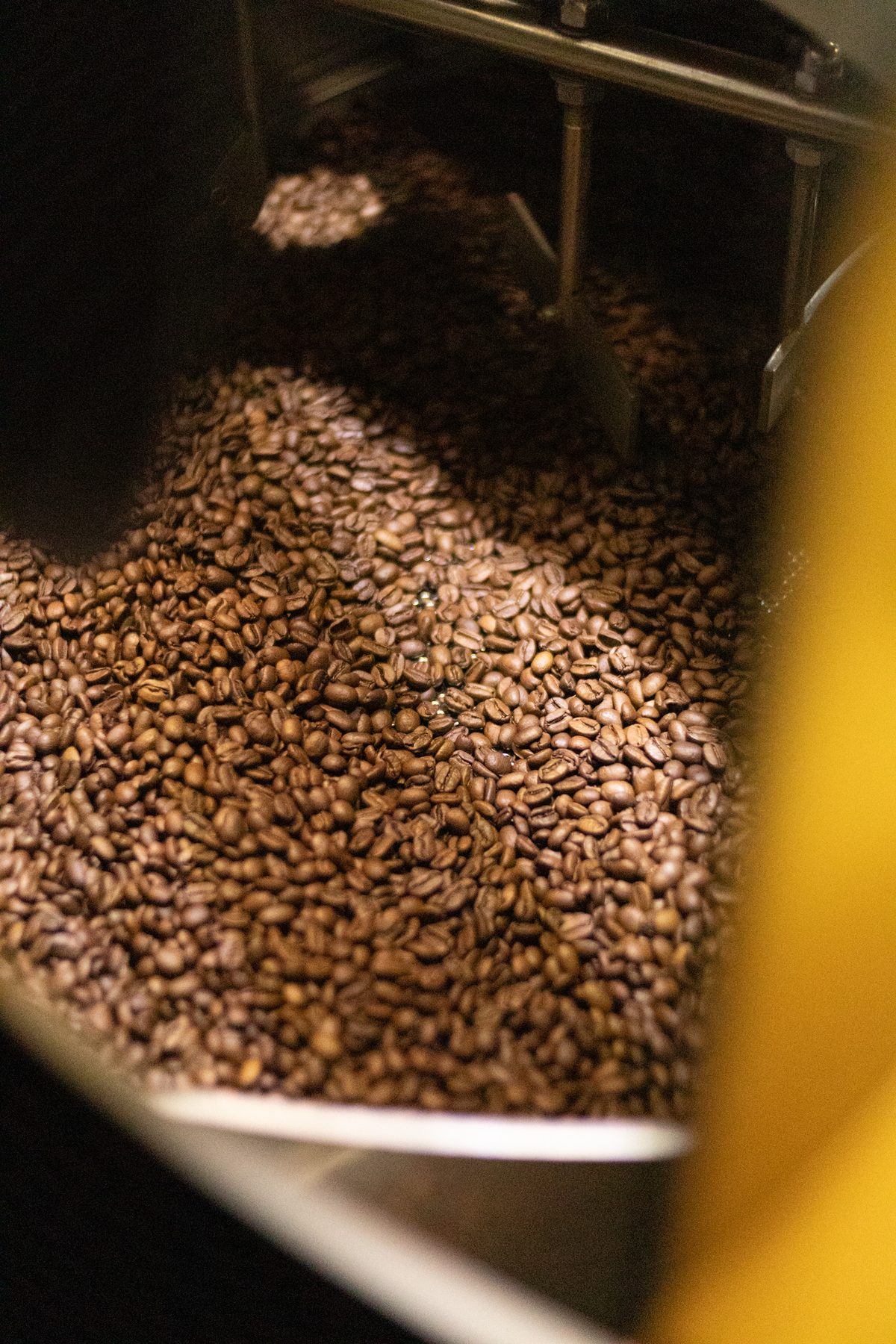 Beans in the hopper